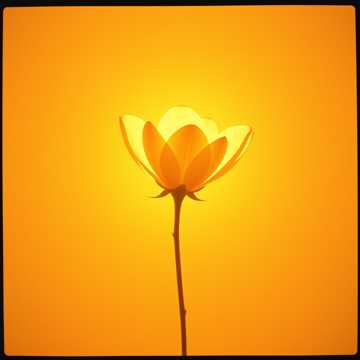 Обложка песни ИИ: Мой дивный цвет