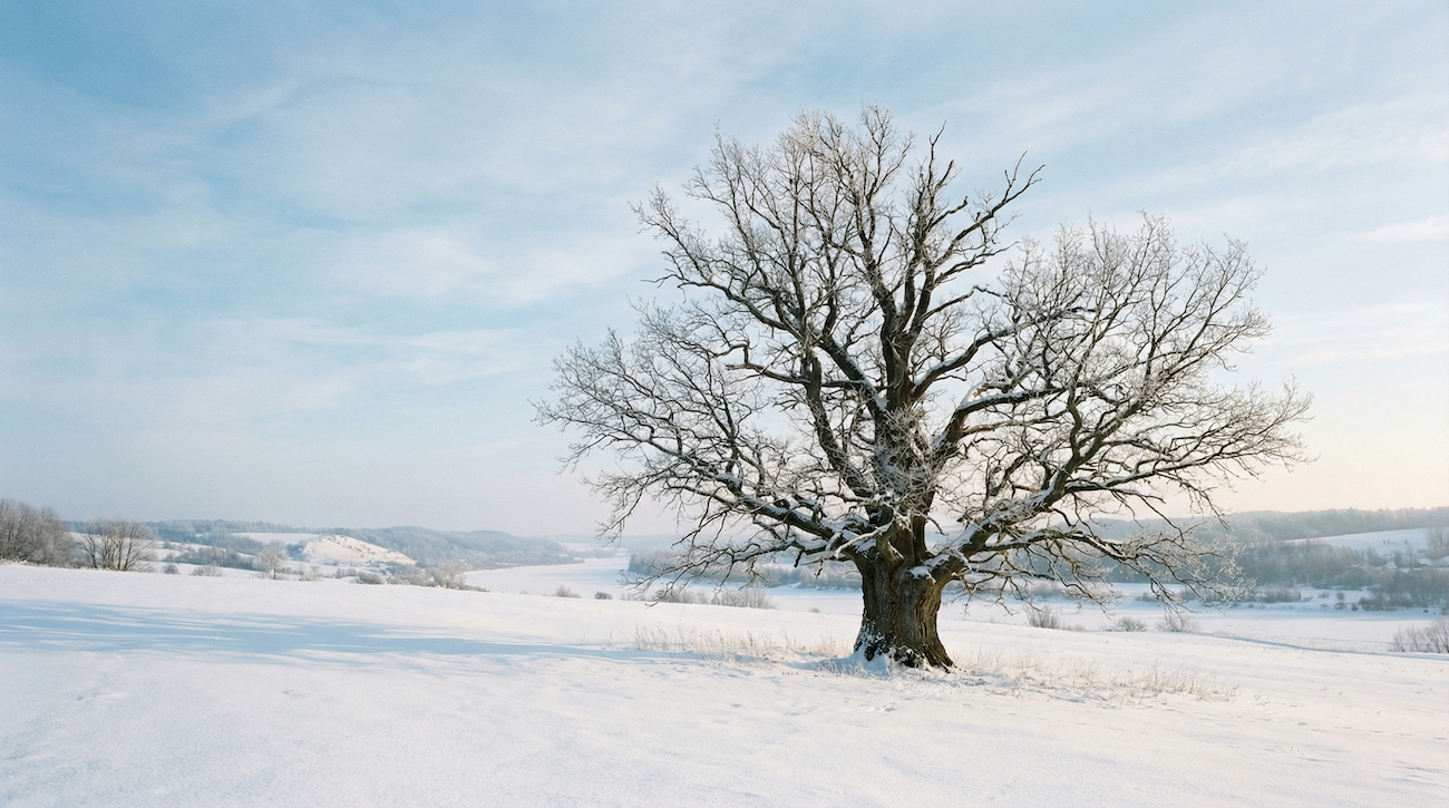 Первый кадр