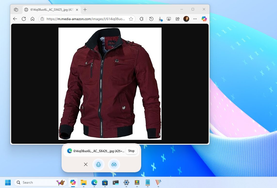 Copilot Vision распознает объекты