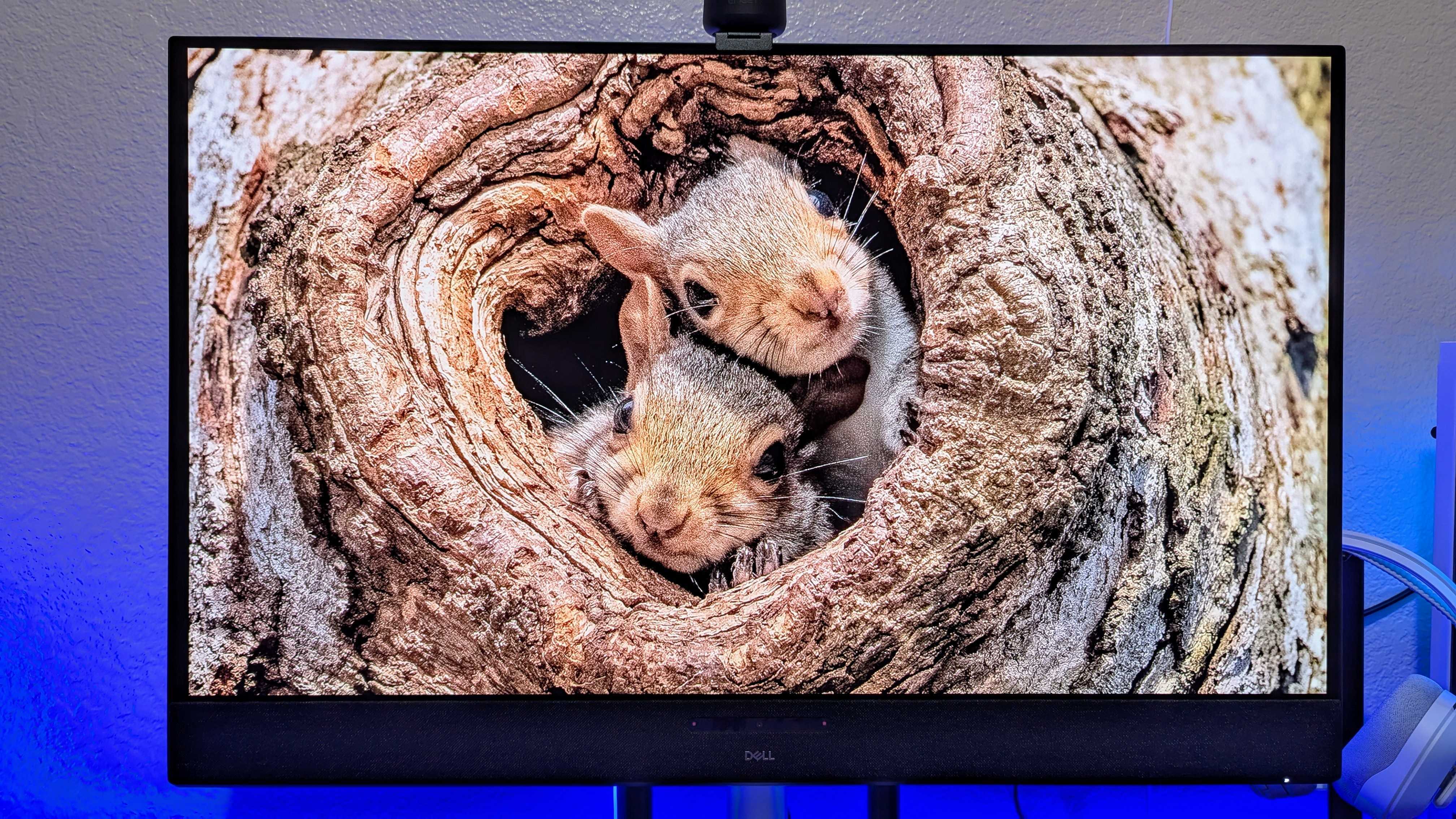 Изображение монитора Dell 32 Plus 4K QD-OLED (S3225QC).
