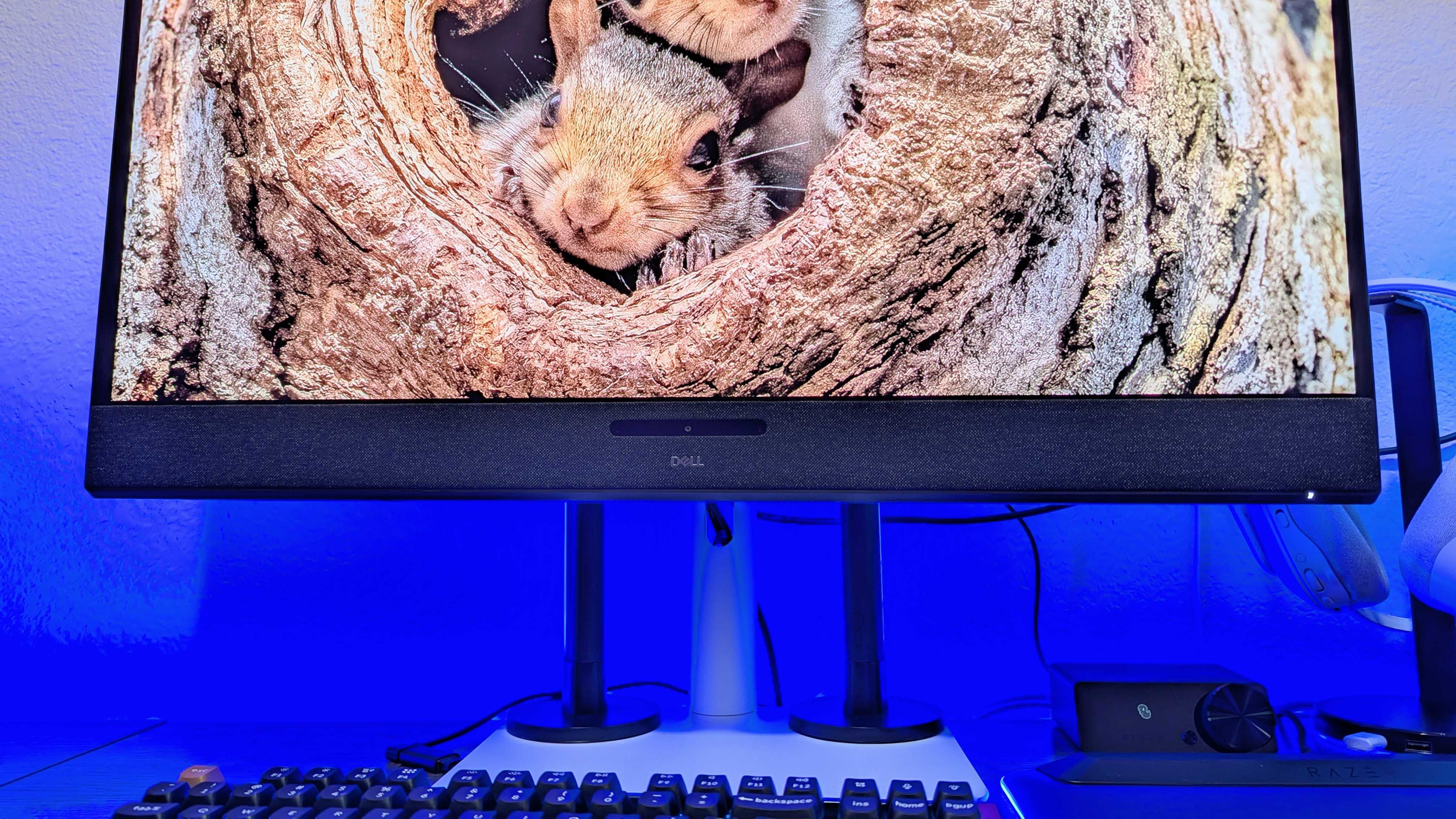Изображение монитора Dell 32 Plus 4K QD-OLED (S3225QC).