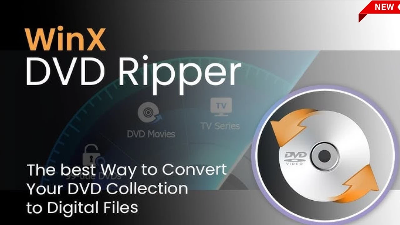 Превратите свою DVD-коллекцию в цифровой формат: получите WinX DVD Ripper Platinum бесплатно!