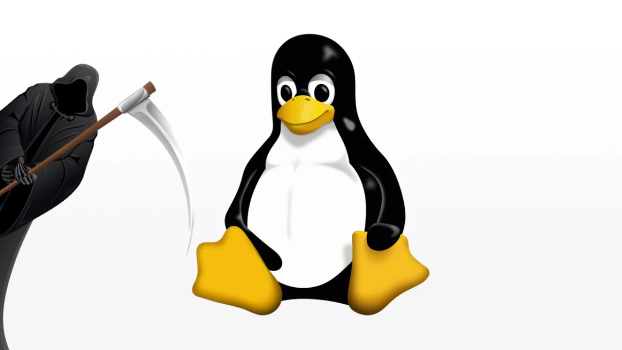 Прощай, Clear Linux: Intel закрывает свой дистрибутив – что это значит для пользователей?
