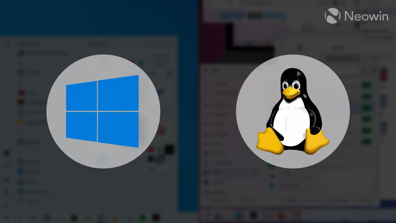 Windows 11 не поддерживается? Это приложение автоматически перенесет важные данные Windows 10 в Linux