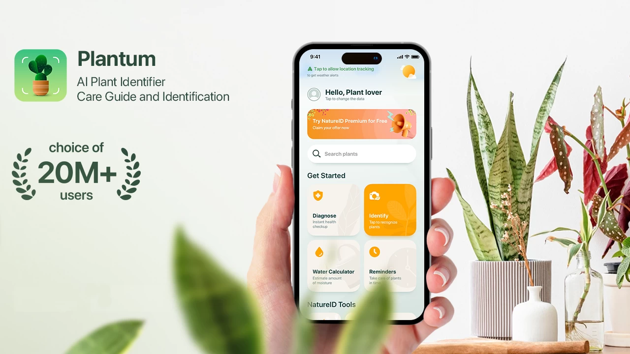 Ваш личный ботаник в кармане: как Plantum поможет вырастить сад вашей мечты