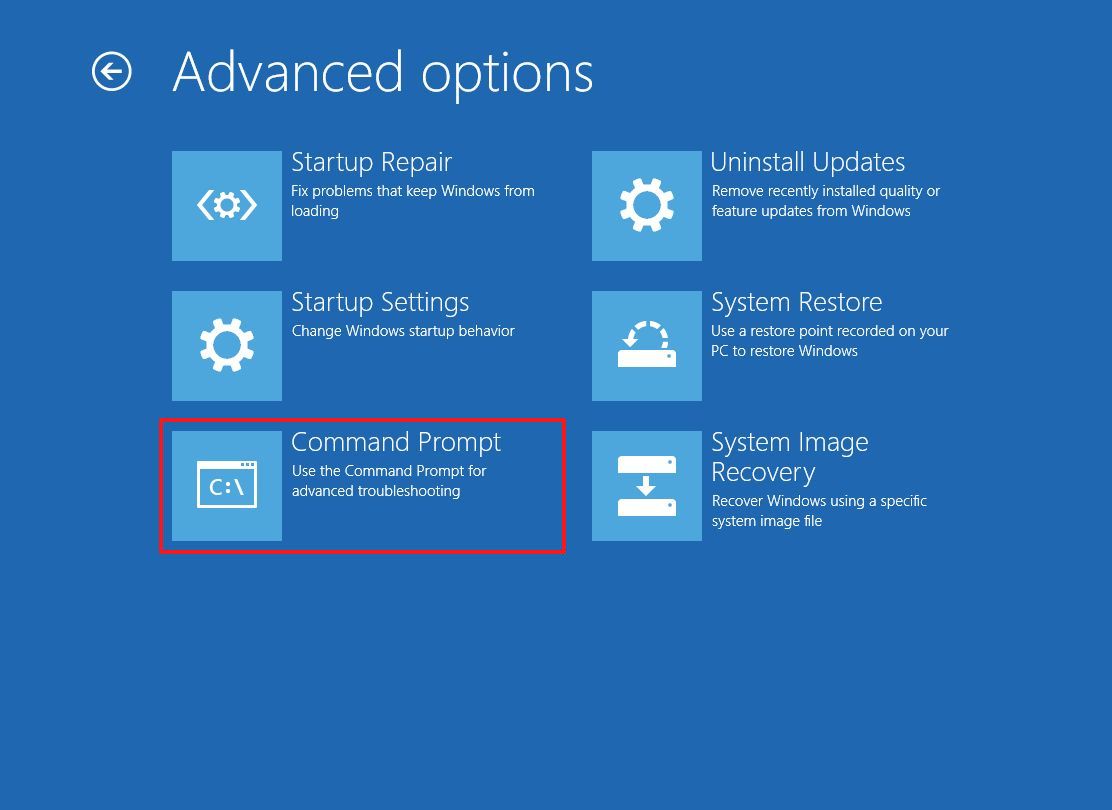 Advanced Startup Command Prompt