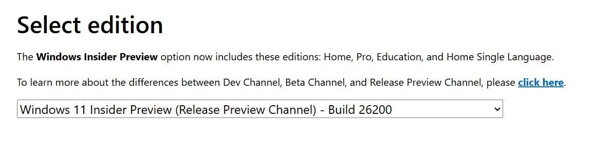Windows 11 25H2 ISO Selection