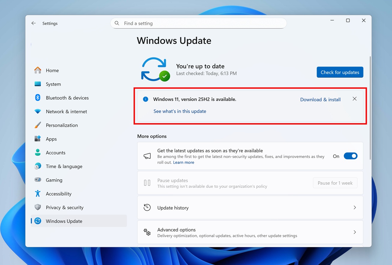 Windows 11 25H2: Microsoft знает о проблемах, но паниковать рано?
