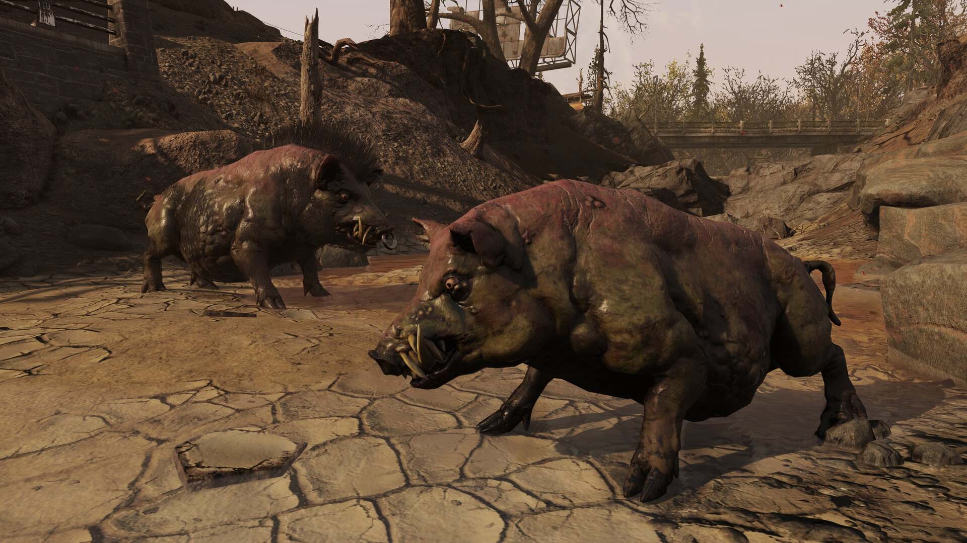 Fallout 76 screenshot of wild hogs