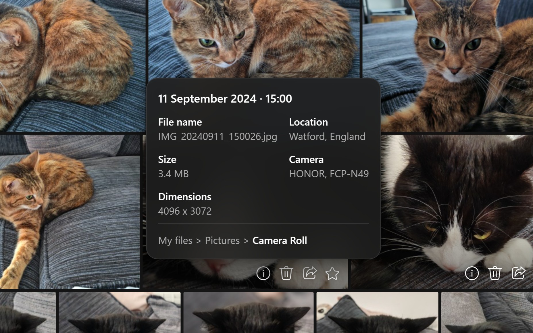 OneDrive app for Windows 11