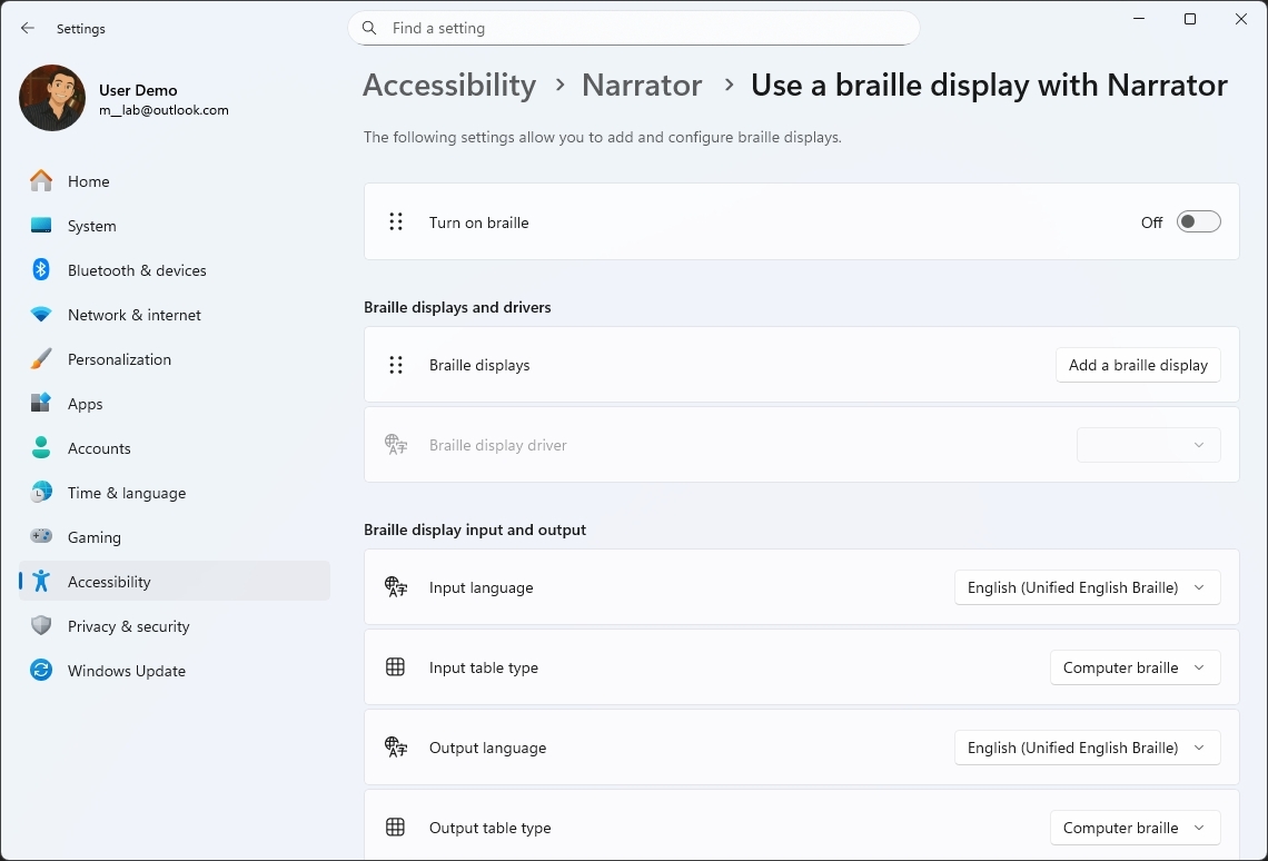 Braille viewer settings for Windows 11