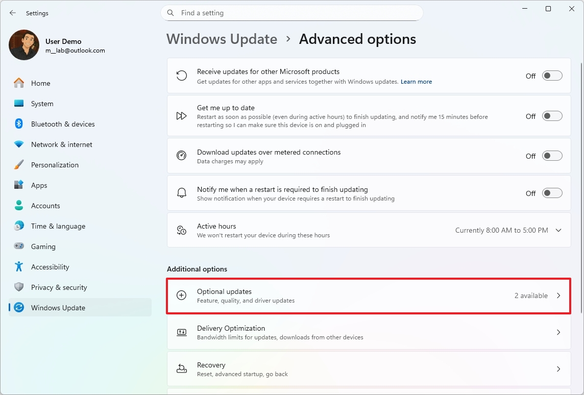 Windows 11 Optional updates