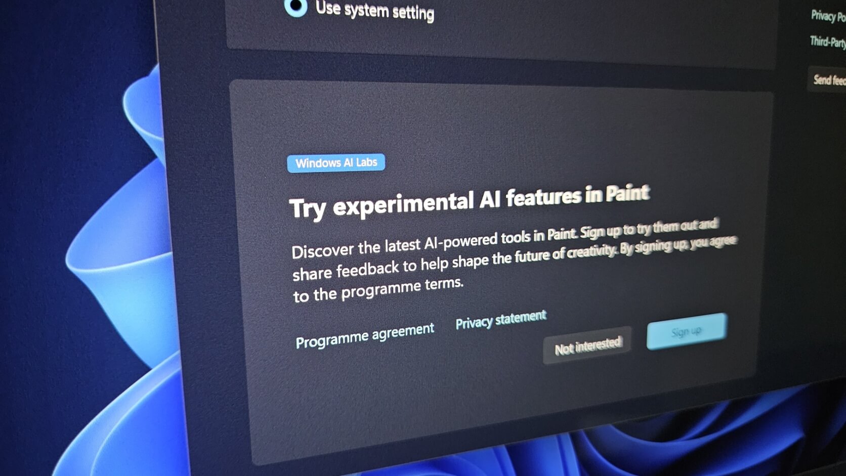 Изображение к статье: Paint в Windows 11 научился создавать анимации и редактировать изображения с помощью ИИ - Windows 11 на MSReview.net