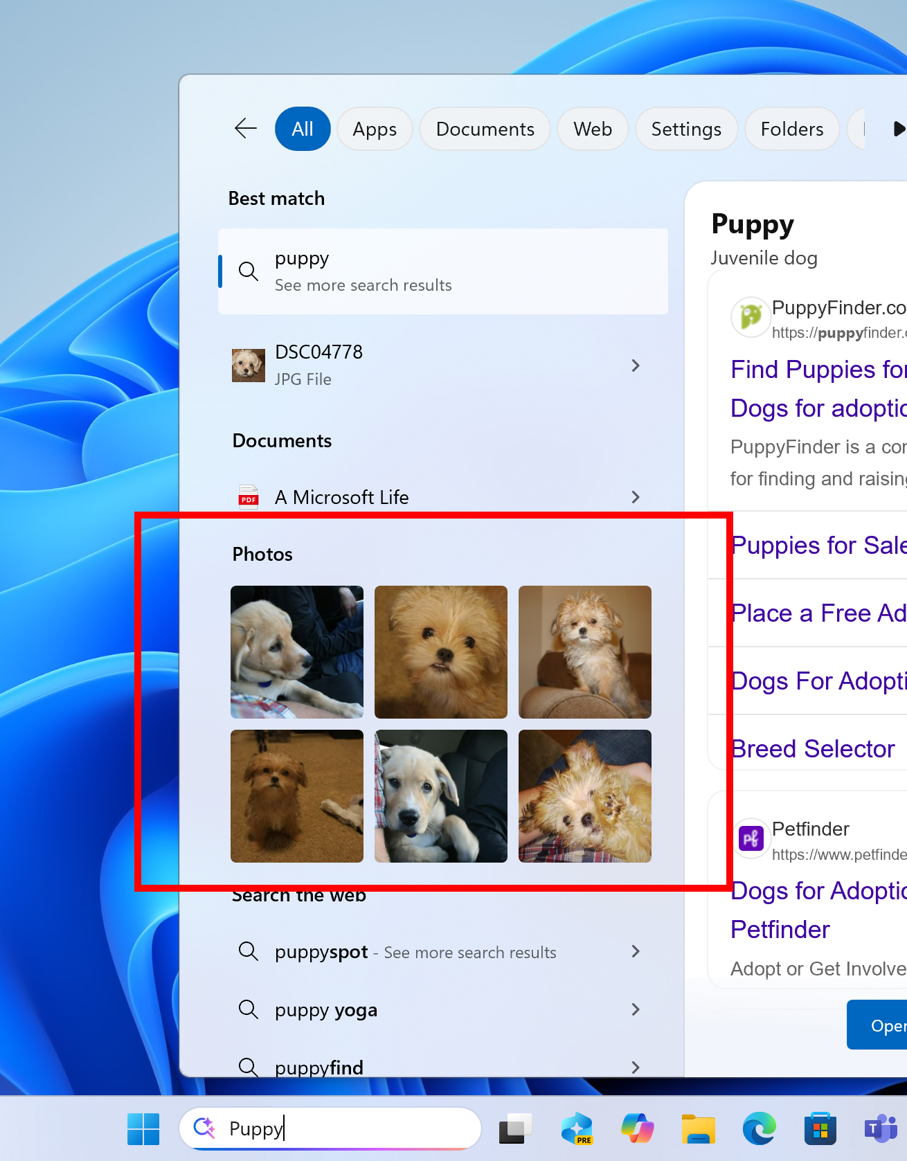 Screenshot depicting Search results for the word puppy in the Windows Search box