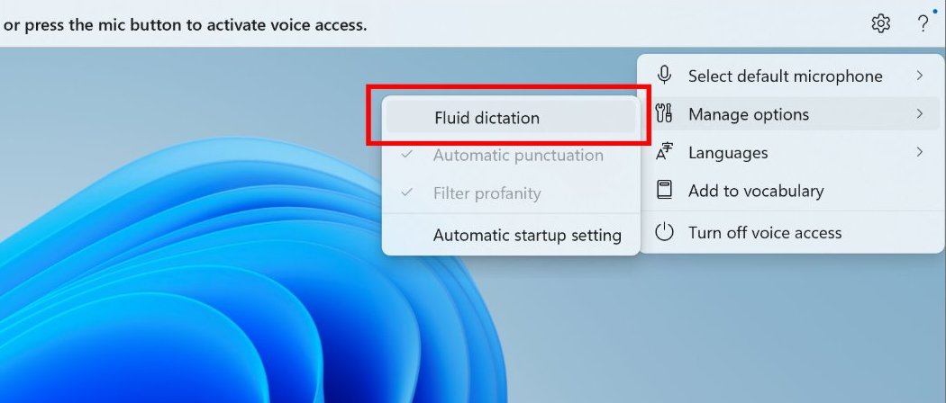 Voice Access fluid dictation
