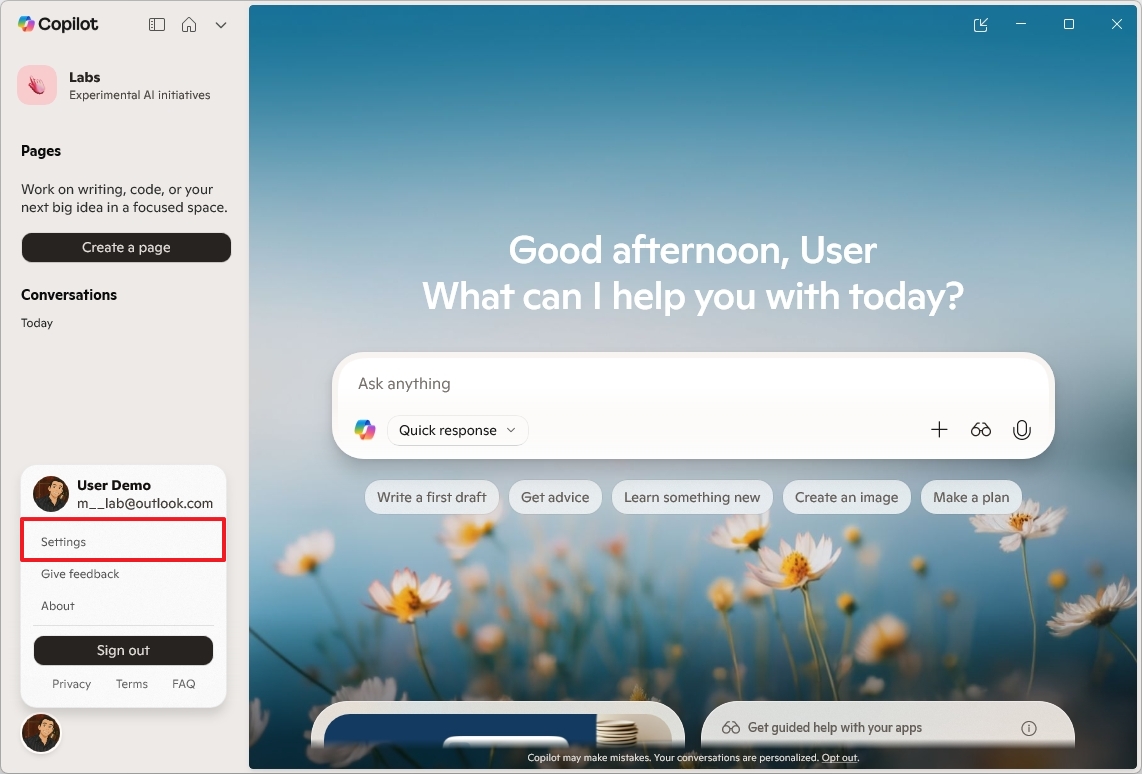 Copilot open settings