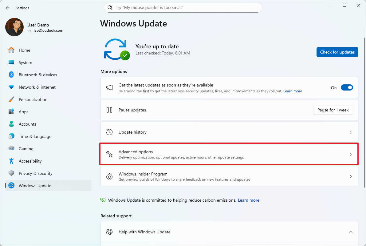 Advanced options settings