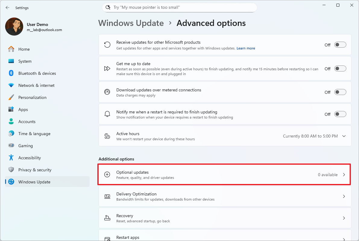 Copilot+ PC optional updates settings