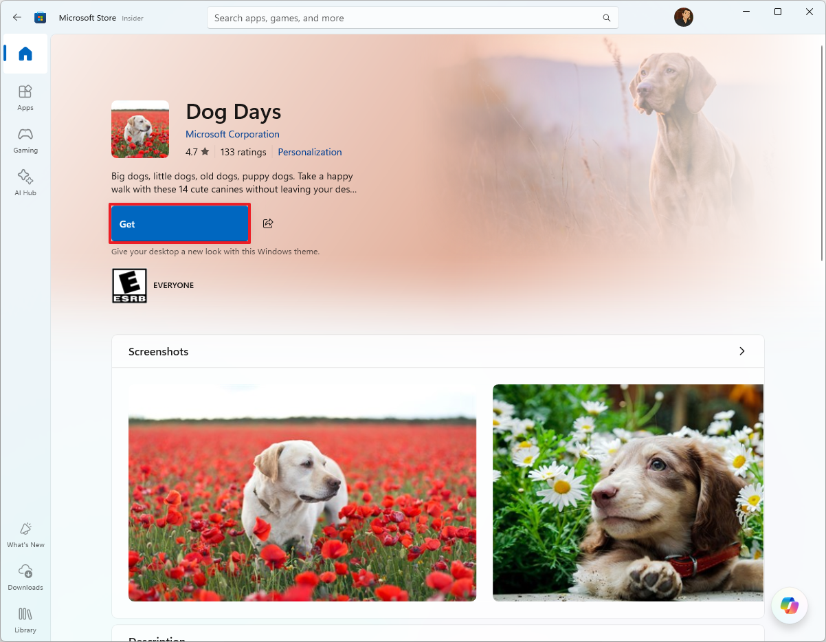 Copilot+ PC install new themes