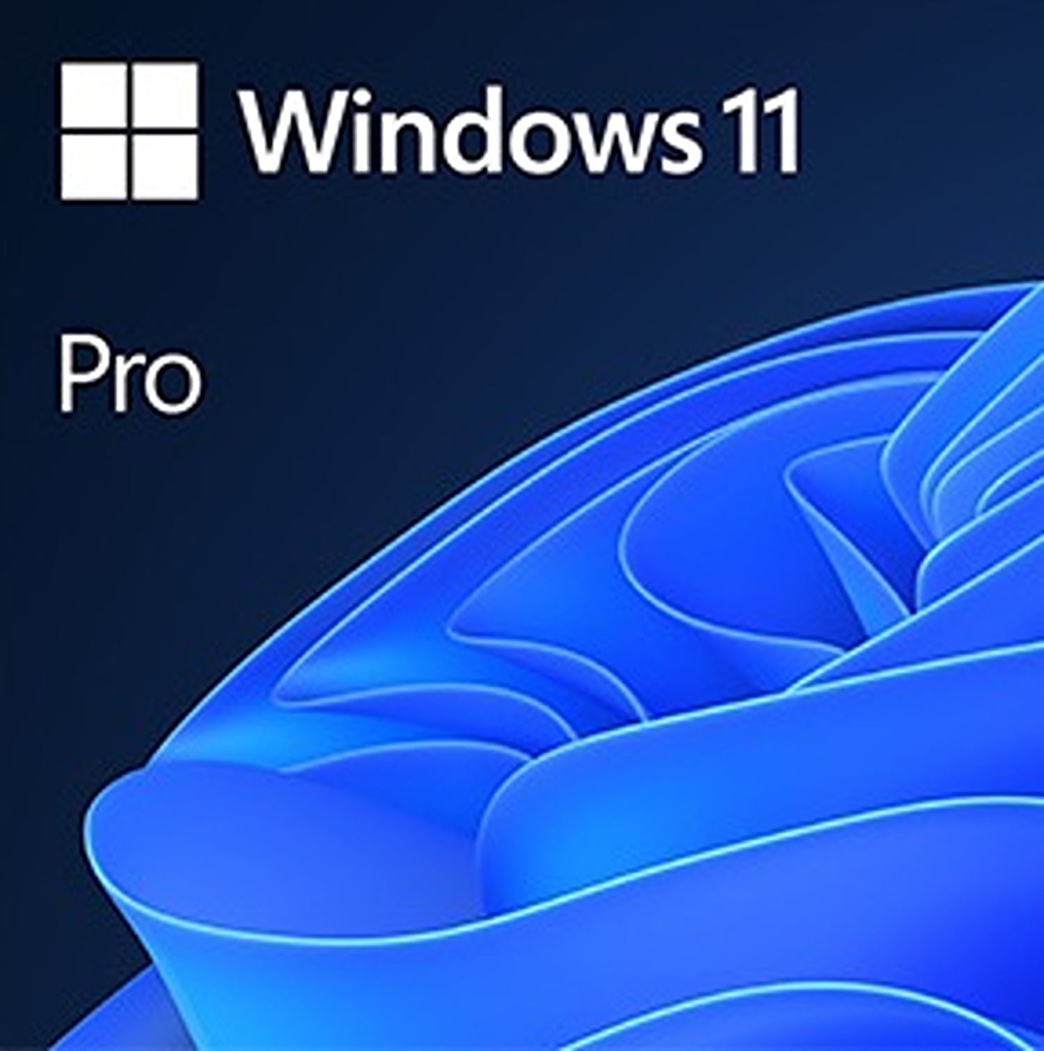 Windows 11 Pro