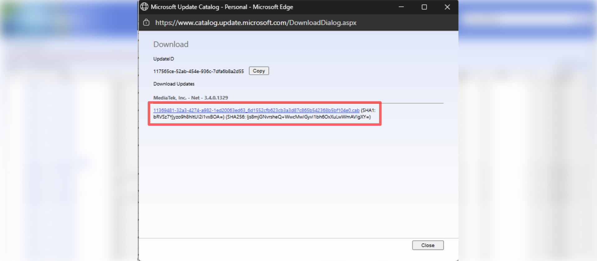 Окно загрузки драйвера WLAN для Xbox Ally, ROG Ally.