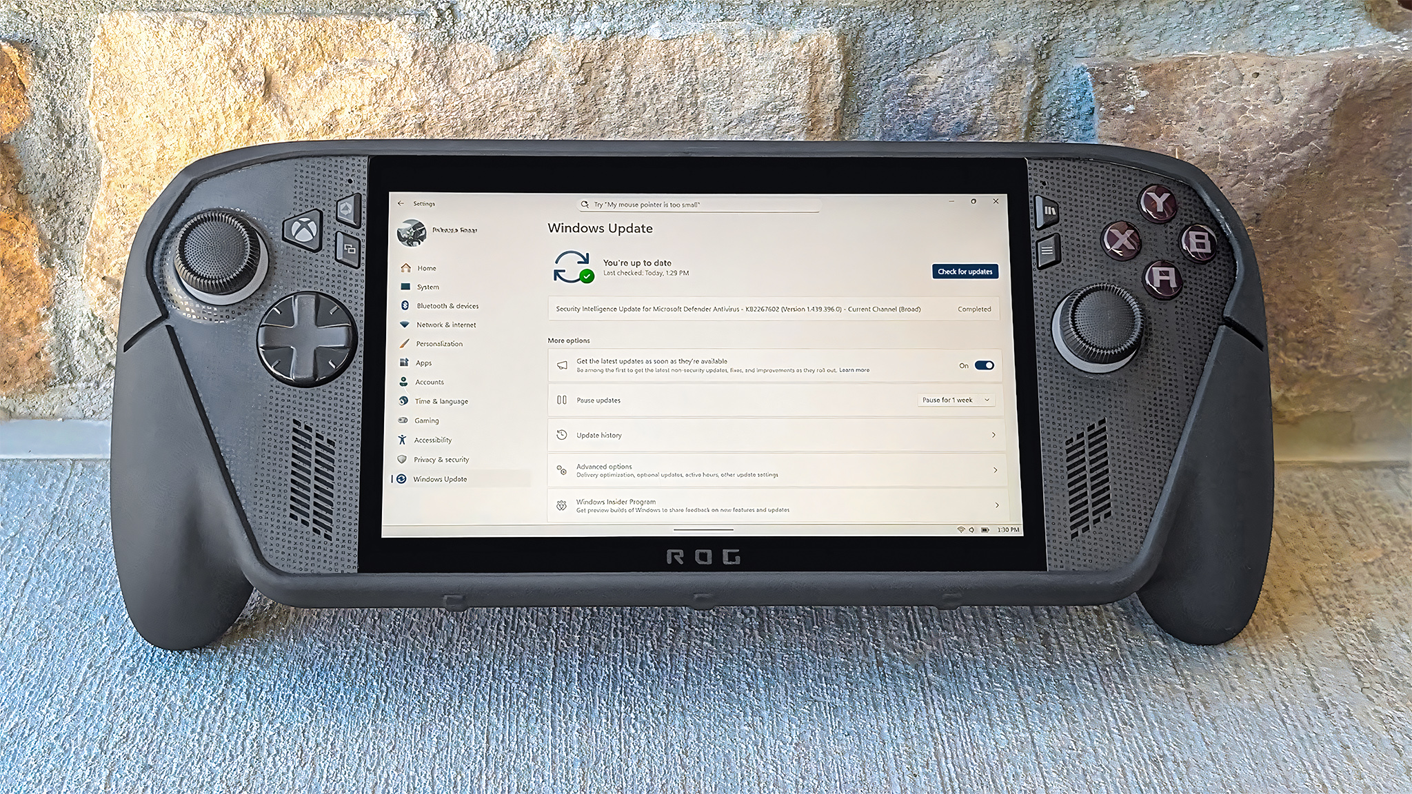 Xbox Ally X на странице обновления Windows.