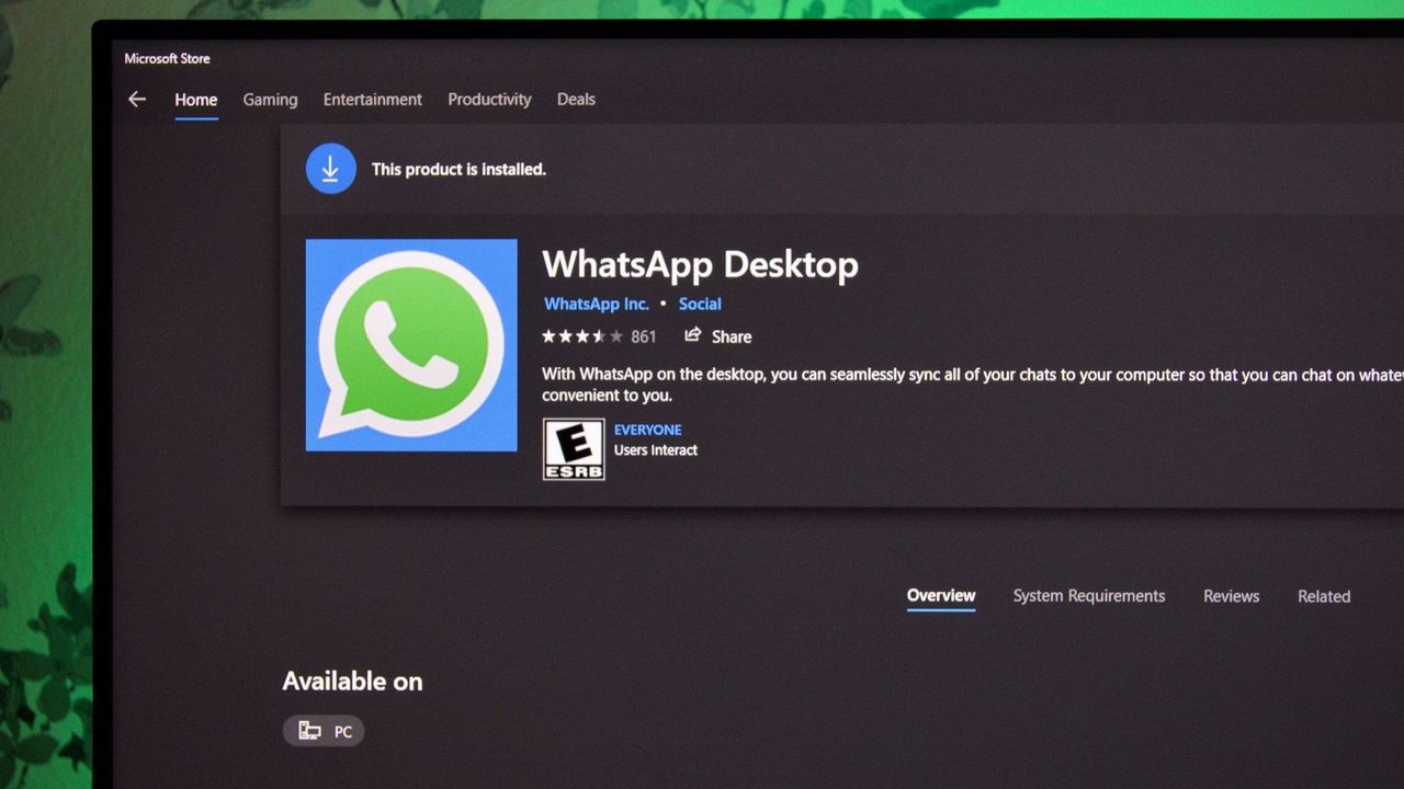 Изображение к статье: WhatsApp на Windows: прощай, нативное приложение, привет, пожиратель ОЗУ! - Приложения на MSReview.net