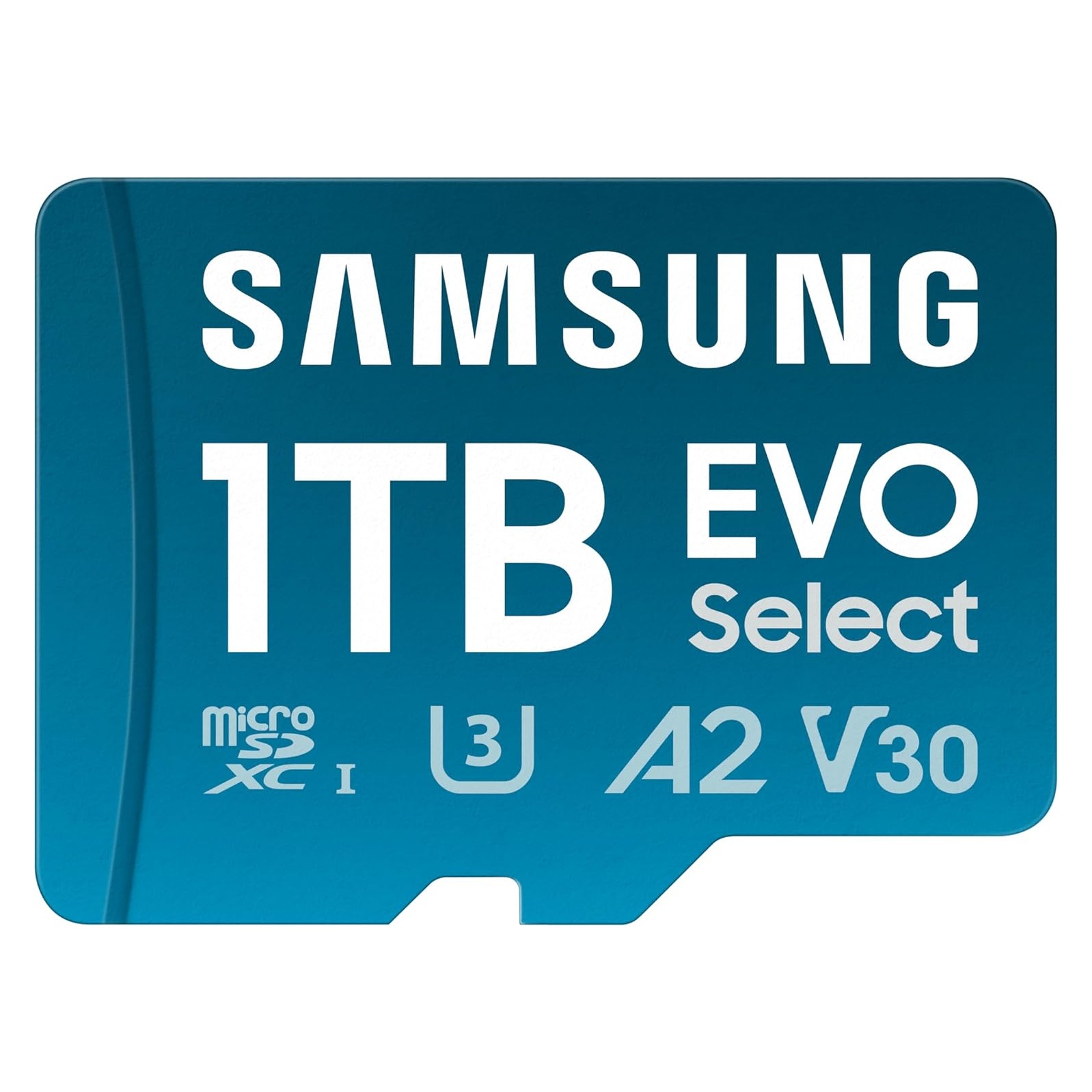 Samsung 1TB MicroSD Card