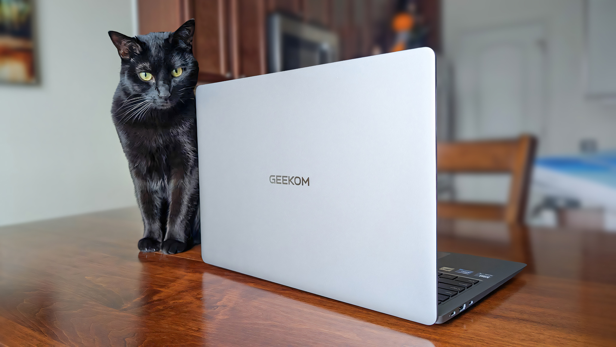 Задняя часть Geekom GeekBook X16 Pro рядом с кошкой.