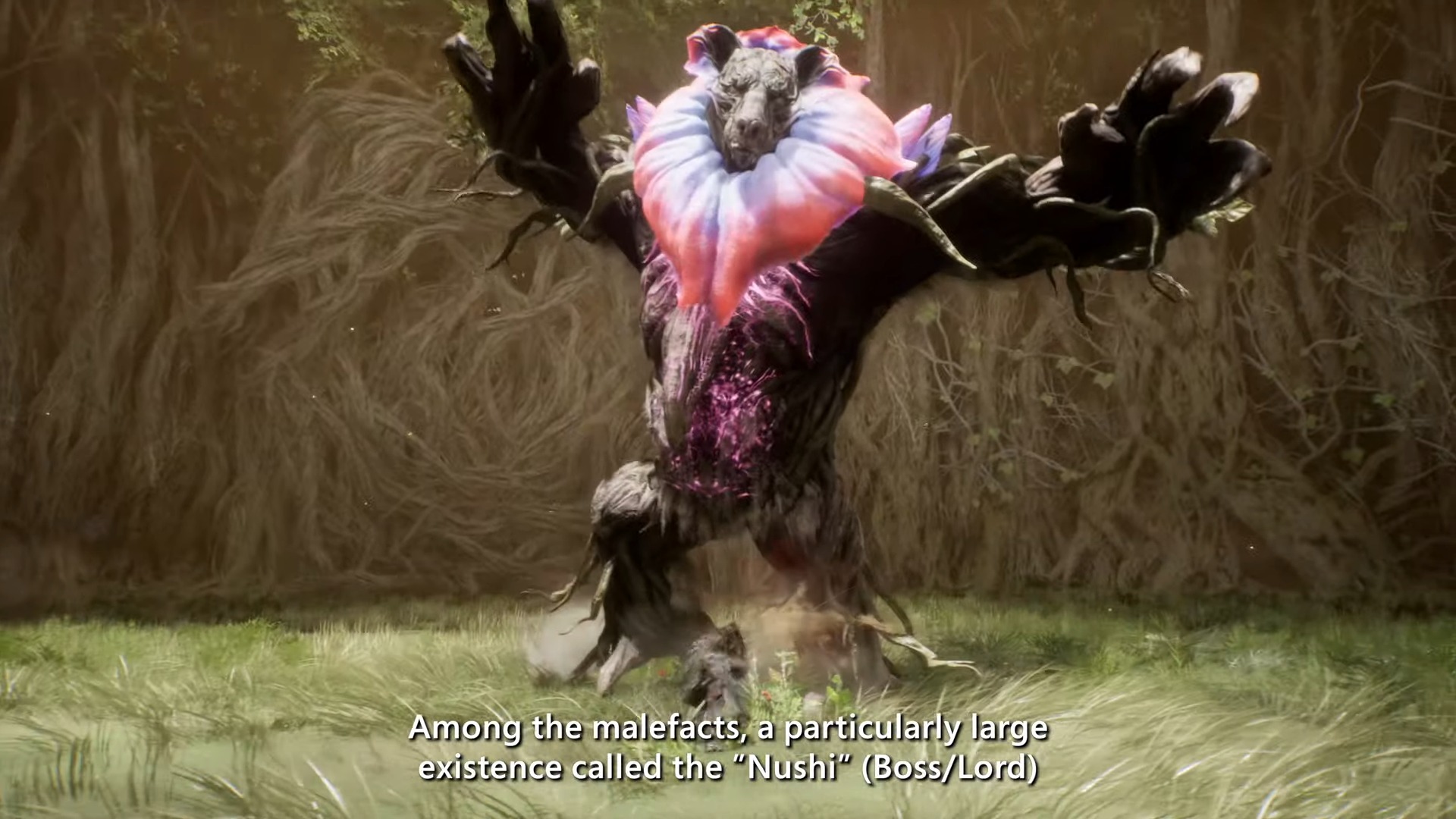 Эмма сражается с Nushi