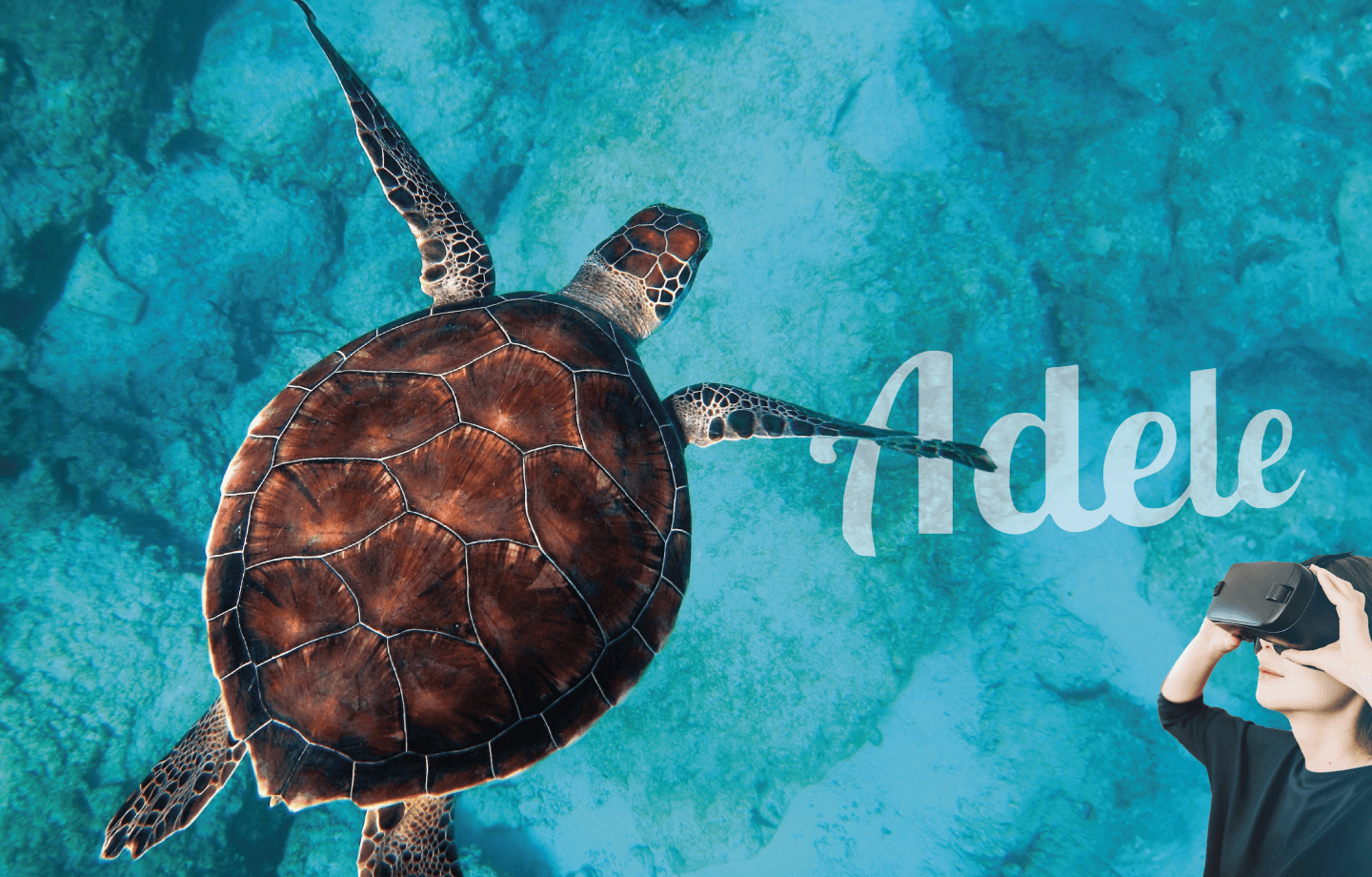 hero-mobile-background