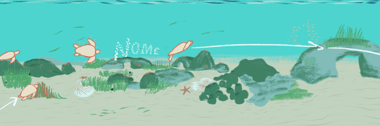 carosello adele01.png