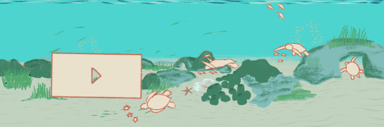 carosello adele02.png