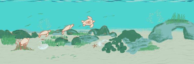 carosello adele03.png