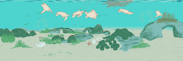 carosello adele04.png