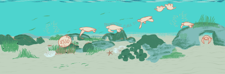 carosello adele05.png