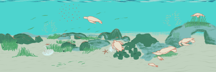 carosello adele06.png