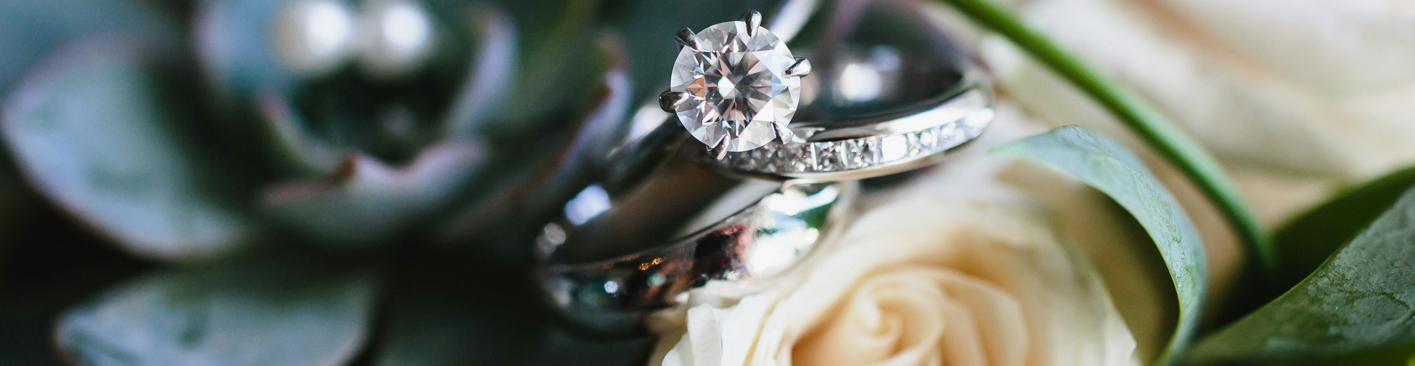 Wedding rings on top of white rose