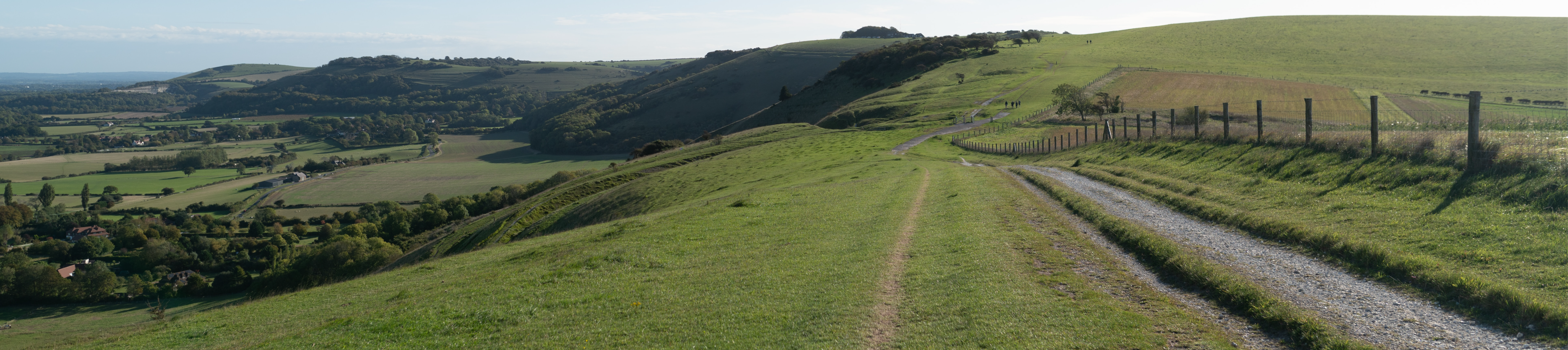 Path cutting through field