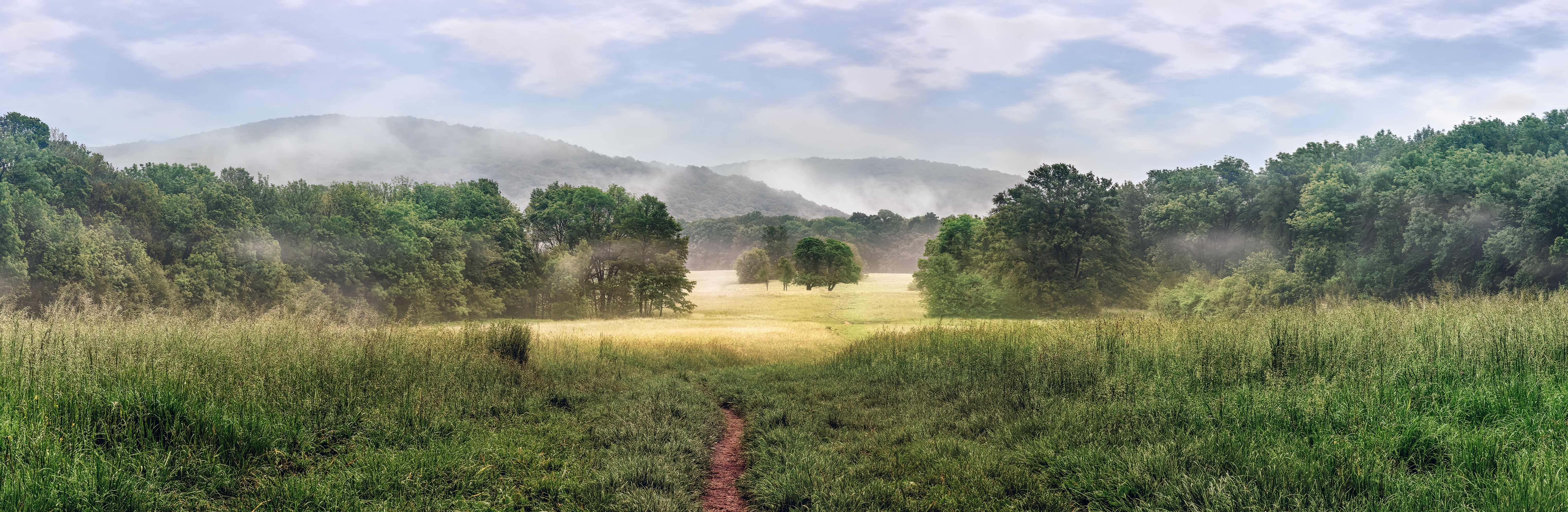 Path cutting through field