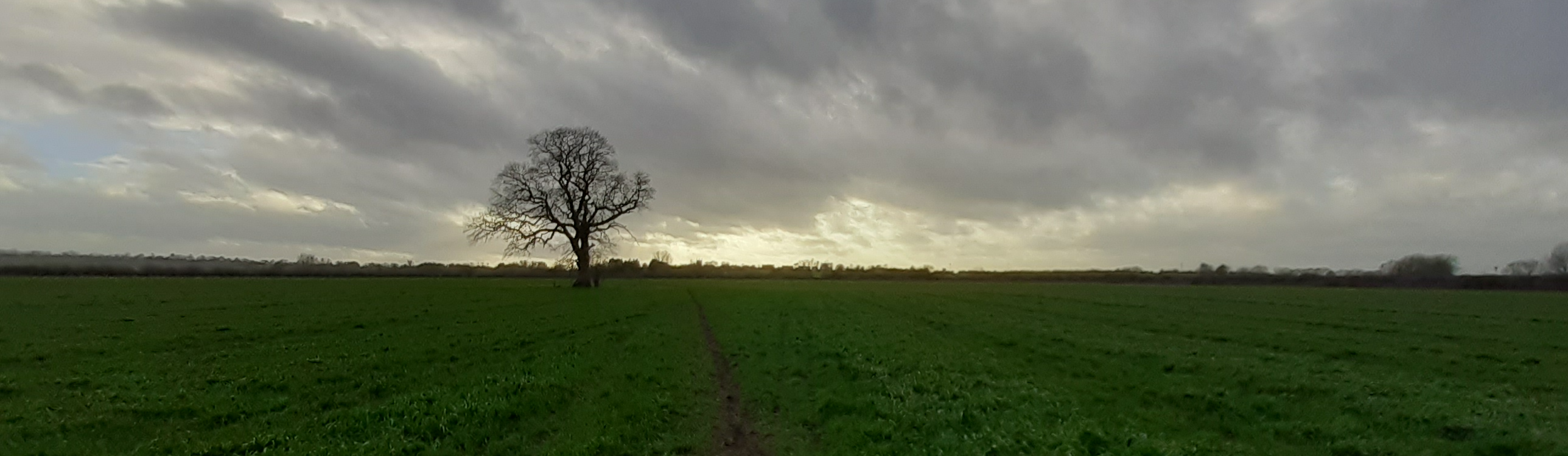 Path across field