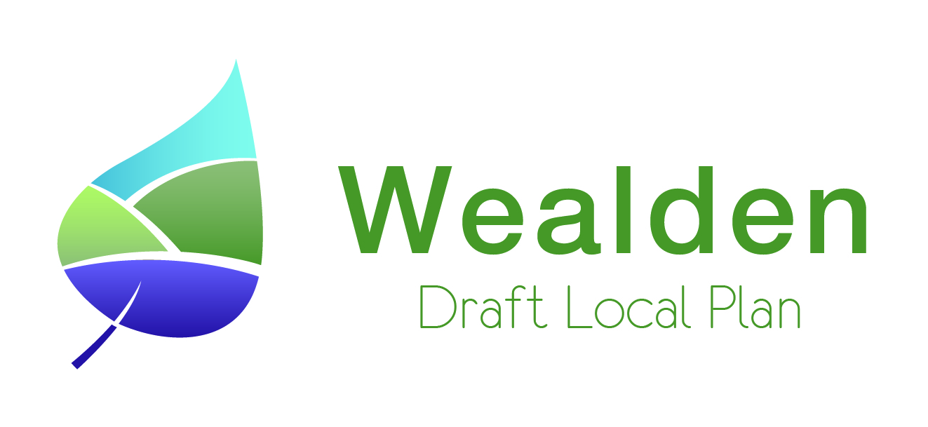Colourful leaf logo with text that reads Wealden Draft Local Plan