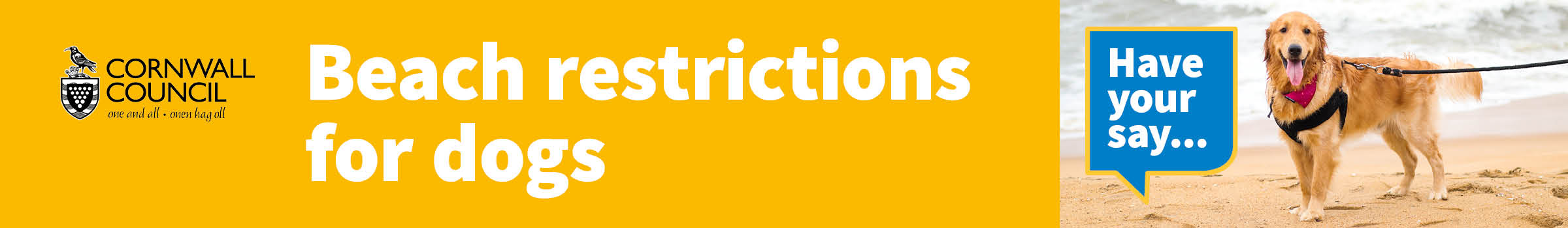 Dogs on Beaches consultation