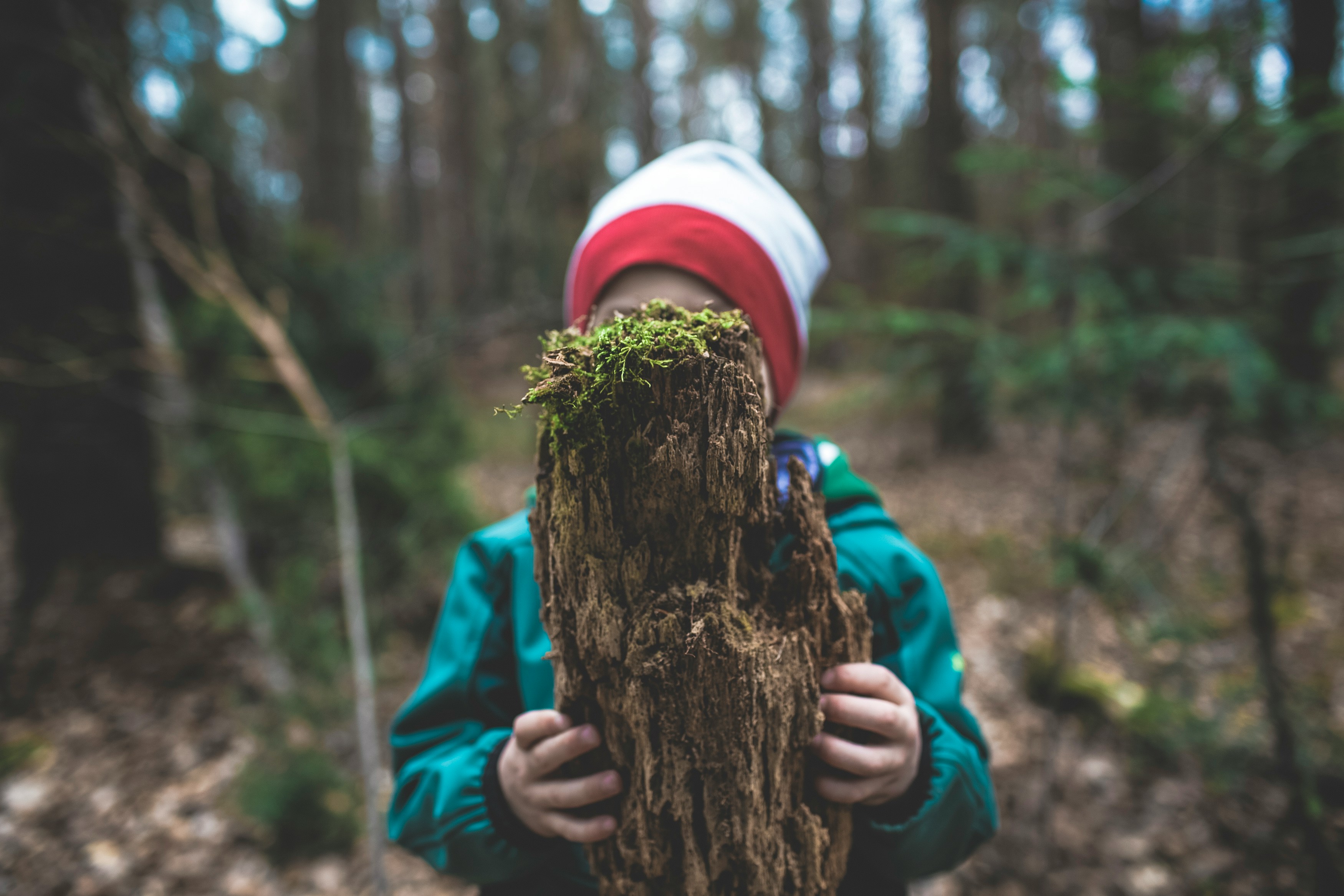 Picture of a child with a tree branch