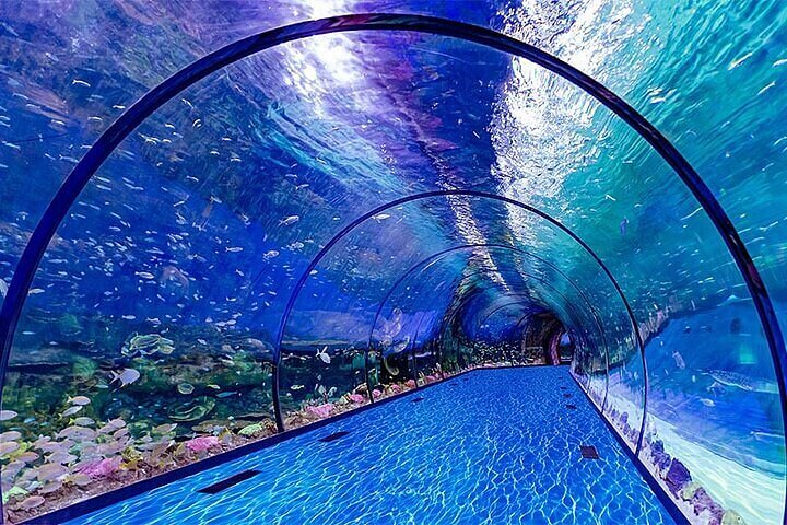 The National Abu Dhabi Aquarium