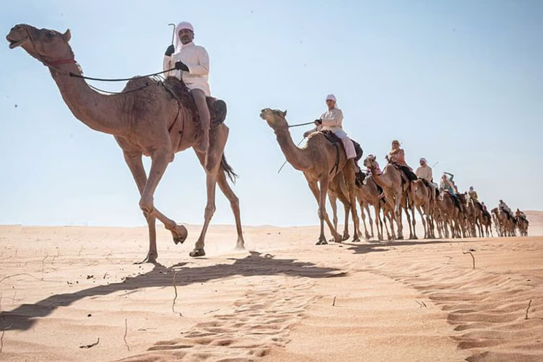 Shared Heritage Camel Safari