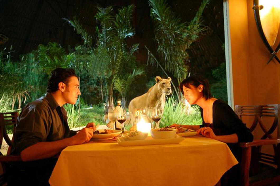 Dine with Lions