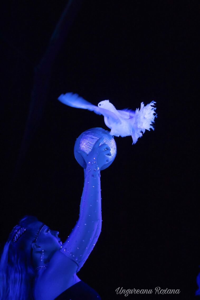 CIRCUS International în Cluj-Napoca