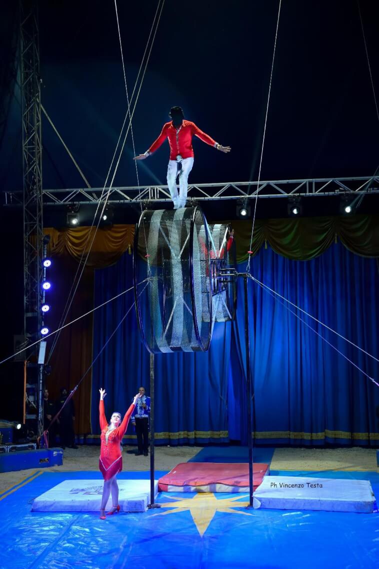 CIRCUS International in Oradea