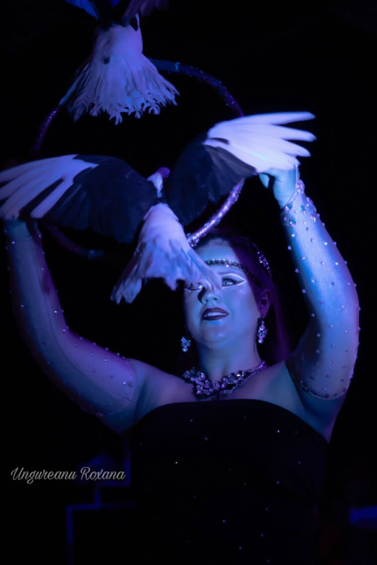 CIRCUS International in Oradea